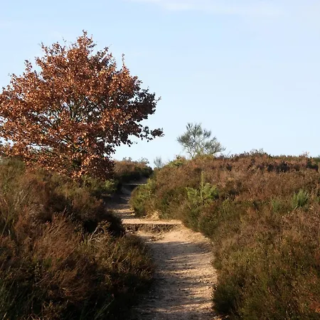 Hotel Fletcher Hotel-restaurant De Kempen Reusel