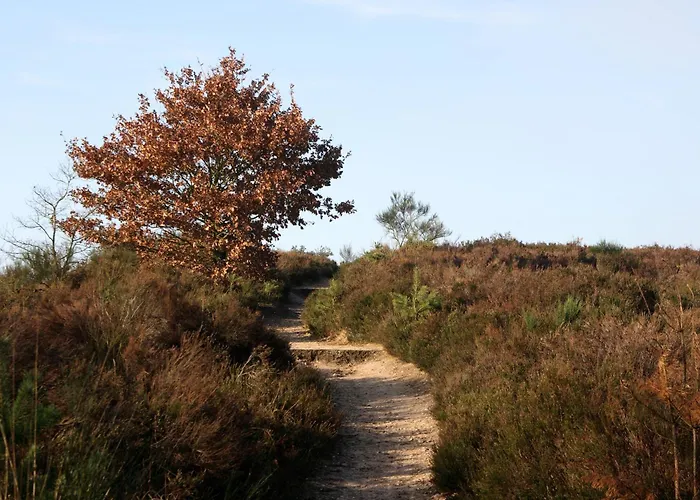 Szálloda Fletcher Hotel-restaurant De Kempen Reusel