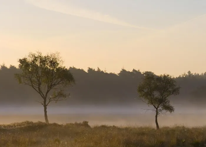 Fletcher Hotel-restaurant De Kempen Szálloda Reusel