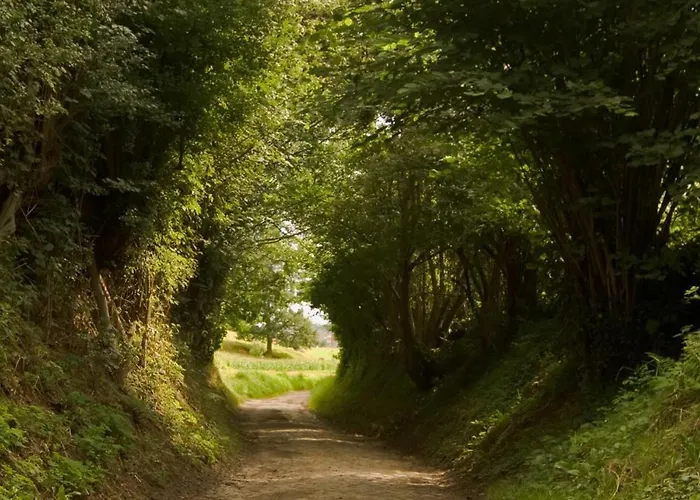 Hotel Fletcher Hotel-restaurant De Kempen 3*